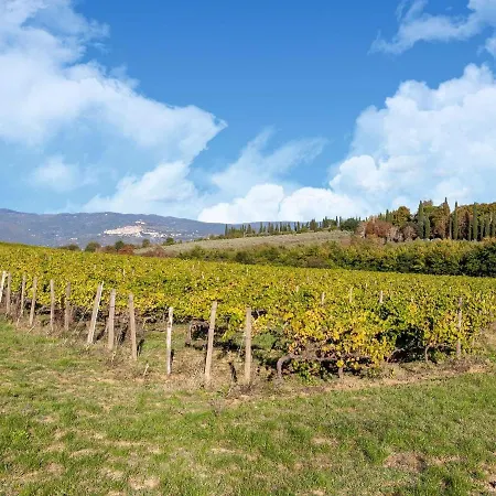 Holiday home Belvilla By Oyo Ippocastano Cortona